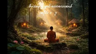 ဝိပဿနာရှုဖွယ် တောလေးဆယ် ၃