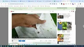 Support#403   VC   to haquefashiononline dot com about product manager   Spider eCommerce website ma