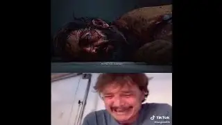 The Last Of Us (pedro pascal crying)