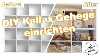 IKEA Hack - DIY Kallax Rennmaus Käfig einrichten 😍