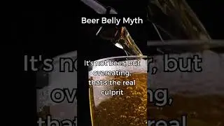 The Diversity of Beer: 🍻 #BeerCulture #CraftBeer #HistoryOfBeer #beer