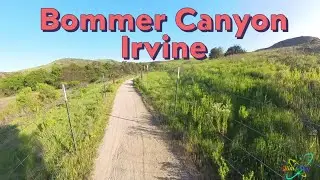 Bommer Canyon, Irvine - 20250413