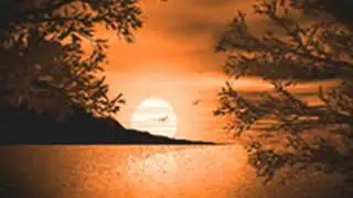 BOB SEGER & THE SILVER BULLET BAND - SHINNIN' BRIGHTLY.