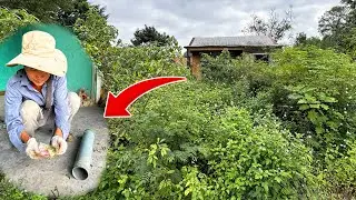 Cleaning an Abandoned House: A Shocking Discovery Inside the Forgotten Home