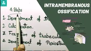 Intramembranous ossification || Bone Formation in Hindi