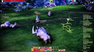 Tera: Warrior Gameplay Level 50