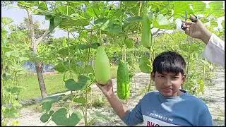 অতি দ্রুত সাবলম্বী হতে চাইলে,ভিটামিন প্রয়োগ করা দরকার। 