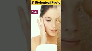 3 Amazing Facts About Biology👏🏻🤗🤓||3 biological facts|| biology||#biological #facts #video #shorts