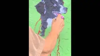 Mural for Suncoast Service Dogs and SNIPPET