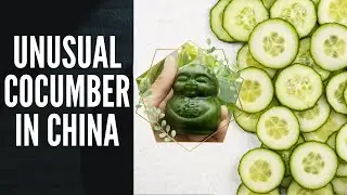 Kakaibang Hugis ng Pipino habang lumalaki