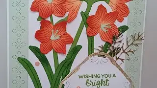 Artful Amaryllis birthday card