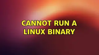 Ubuntu: Cannot run a linux binary (2 Solutions!!)
