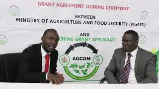 DZIWANI ZA AGCOM