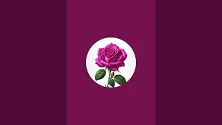 صلي على الحبيب قلبك يطيب ❣️❣️❣️❤️