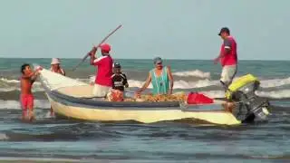 Aspectos fundamentales del ambiente en Colombia