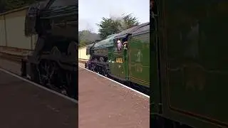 Following the flying Scotsman down Minehead platform #gwr #train #viral #shorts #viral #steamtrain