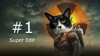 Stalker stream intro (#1)