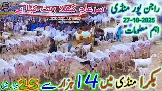 27 October 2025 mandi pakistan rajanpur bakra mandi visit راجن پور بکرا منڈی ویزٹ مکمل انفارمیشن 