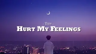 Tedy - Hurt My Feelings (Lyrics)