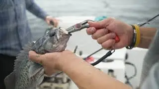 Bubba Breakdown | Stainless Steel Pistol Grip Fishing Pliers
