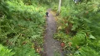 EARLY NORTH DEAN WOODS VLOG 