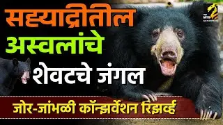 रायरेश्वराच्या उत्तरेकडे अस्वलं का आढळत नाहीत? | sahyadri solth bear | Maha MTB