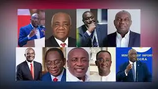 WHO LEADS THE NPP?....#THEBIG9