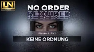 No Order Required – Keine Ordnung (Gesungen auf Deutsch)🇩🇪 – LadyNoir Music