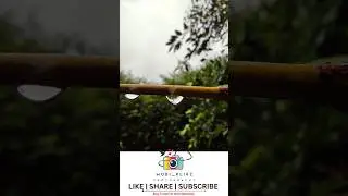 Mind-Blowing Water Drop Photography on Mobile #shorts #trendingshorts #photography