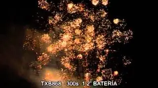 TXB868