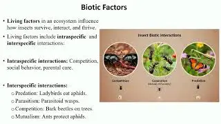 Introduction to Insect Ecology