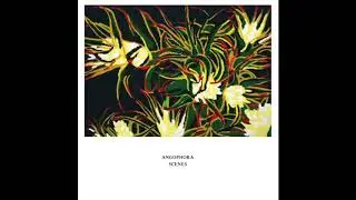 Angophora - Returning