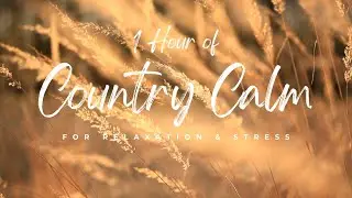 1 Hour of Acoustic Country Music | Relaxing Folk Instrumental
