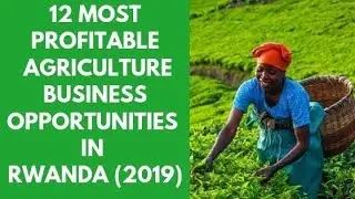 BUSINESS IN RWANDA 12 Agriculture business opportunities in Rwanda 2019,business in africa