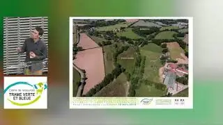 Les amphibiens dans les espaces agricoles - Alexandre BOISSINOT