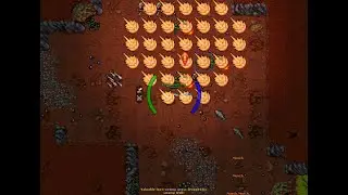 Tibia | Wracamy po latach! | Nostalgia i śmiechy🔥. NEVIA