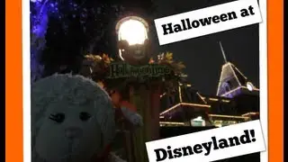 #225: Lambie Goes to Mickey's Halloween Party at Disneyland - LambCam