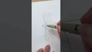 Easy dragonfly drawing step by step with ink pens! :) #drawing #ink #fineliner