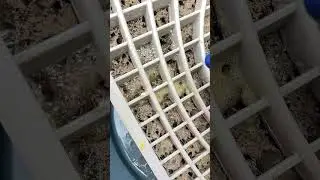 How to Clean the Honeycomb Pads of an Air Cooler