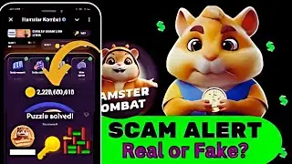 Hamster Kombat scam Alert ⚠️ | Hamster kombat list nai ho ga ? |
