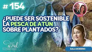 Programa 154 - &iquest;Puede ser sostenible la pesca de at&uacute;n sobre plantados?