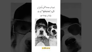🤣😂 #foryou #funny #sports #jokes #instagram #factory