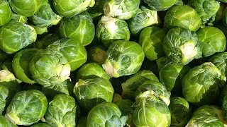 Broccoli and 🥦  Brussel sprouts with fish for lunch