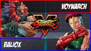 SFV CE - Voynarch(AKUMA) VS Baliox(CAMMY) 🌘 MeiaLua 🌘 MMLLA