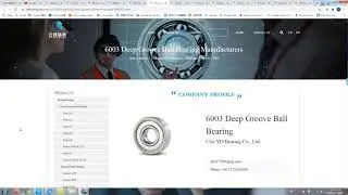 Deep Groove Ball Bearing Series 60