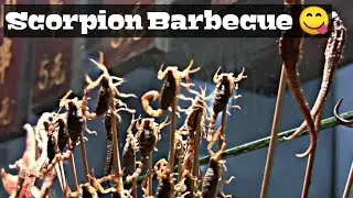Scorpion Barbecue (StreetFood)