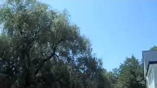 Attack of the Birds