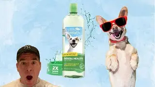 TropiClean Fresh Breath Original | Dog Oral Care Water Additive Dog Breath Freshener Product Review