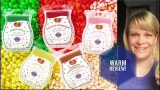 Jelly Belly Wax Collection WARM REVIEW- Scentsy