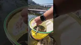 时隔几个月，再次来到湖尔美&hellip; #户外 #fishing #大魚 #推薦 #钓鱼